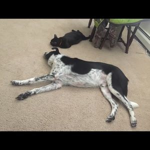 Meet your Posher, Colton